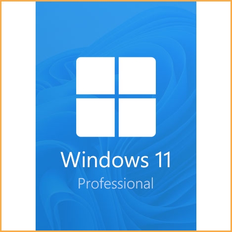windows 11 professional key – 1 PC